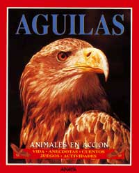 Águilas Águilas