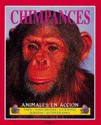 Chimpancés Chimpancés