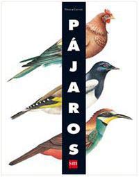 Pájaros