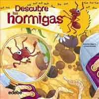 Descubre las hormigas