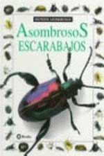 Asombrosos escarabajos