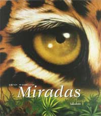 Miradas Miradas