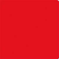 El libro rojo El libro rojo