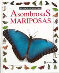 Asombrosas mariposas