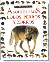 Asombrosos lobos, perros y zorros