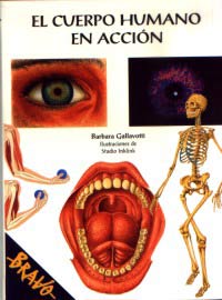 El cuerpo humano en acción El cuerpo humano en acción