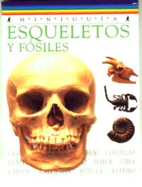 Esqueletos y fósiles Esqueletos y fósiles